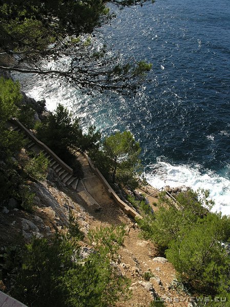 2006_11_24 13_25_44 OLYMPUS DIGITAL CAMERA         